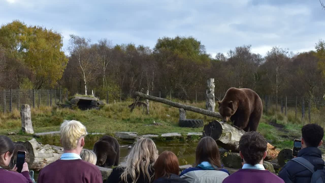 Inside Wild Ireland Wildlife Sanctuary in Donegal